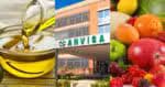 Anvisa suspende venda azeite, molho e polpa de fruta famosos - Foto: Montagem