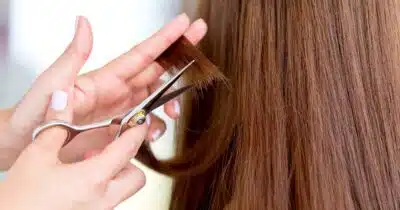 Ilustração de cortes de cabelo para idosas - Foto Reprodução Internet